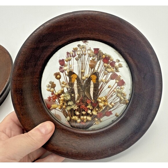 2-Vintage The Brazilia Collection By Dunston Butterflies & Dried Flowers 6.5" - Picture 14 of 14